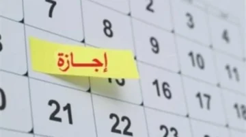 تعديل الجدول الزمني.. عطلة ذكرى 25 يناير للعاملين بالقطاعين الحكومي والخاص